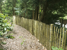 Afbeelding in Gallery-weergave laden, Kastanjepaal geschild, gepunt, niet gekruind ø8-10 x 180 cm