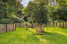 Afbeelding in Gallery-weergave laden, Kastanjepaal geschild, gepunt, niet gekruind ø8-10 x 180 cm