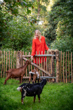 Afbeelding in Gallery-weergave laden, Kastanjepoort compleet B120 x H100 cm of 120 cm